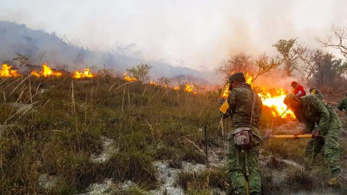 incendio forestal motaña